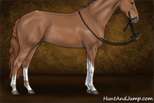 Horse Color:Chestnut Sabino Tobiano Rabicano 