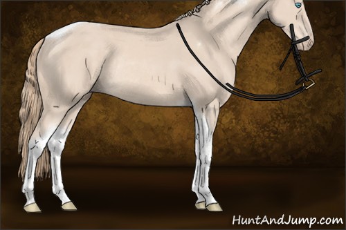 Horse Color:Perlino Sabino Tobiano Rabicano 
