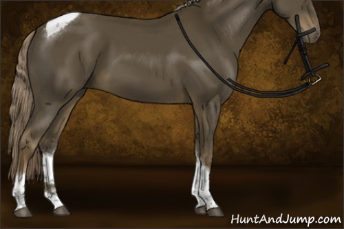 Horse Color:Chocolate Palomino Tobiano Rabicano