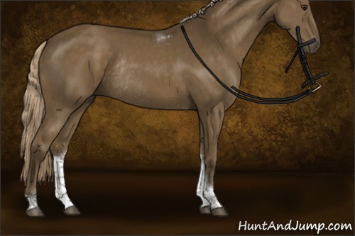 Horse Color:Chocolate Palomino Tobiano Rabicano