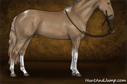 Horse Color:Chocolate Palomino Tobiano Rabicano