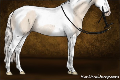 Horse Color:Cremello Sabino Splash Tobiano Rabicano
