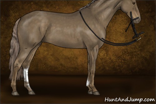Horse Color:Chocolate Palomino Roan Sabino Rabicano 