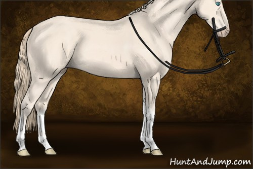 Horse Color:Perlino Tobiano Rabicano