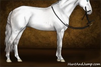 Horse Color:Gray Buckskin Pearl Sabino Tobiano Rabicano 