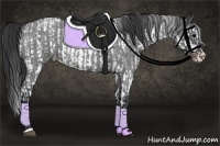 Horse Color:White Spotted Black Splash Frame Appaloosa Rabicano and Blue Roan Sabino Splash Appaloosa