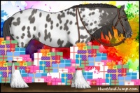 Horse Color:Grullo Near Leopard 
