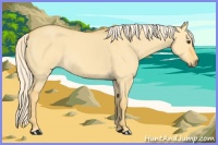 Horse Color:Palomino Dun 