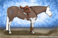 Horse Color:Silver Black Splash