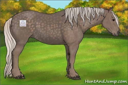 Horse Color:Silver Black 