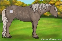 Horse Color:Silver Black 