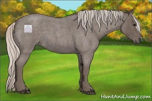 Horse Color:Silver Blue Roan 