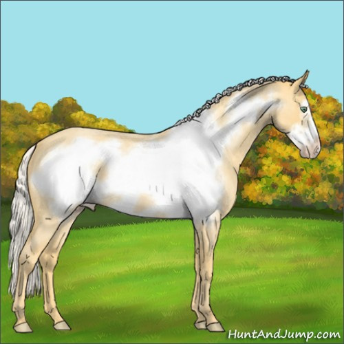 Horse Color:Silver Amber Cream Champagne Roan Frame 