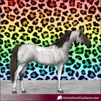 Horse Color:Liver Red Roan Tobiano 