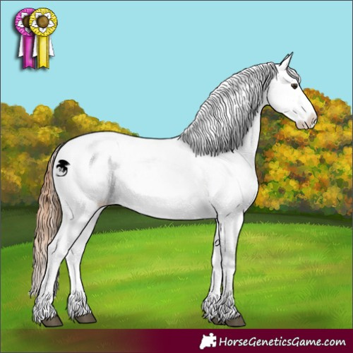 Horse Color:Red Dun Appaloosa  and Red Dun Appaloosa 