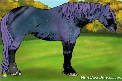 Horse Color:ERROR: UNKNOWN ANOMALY