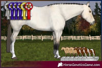 Horse Color:Buckskin Roan Dun Tobiano Brindle 