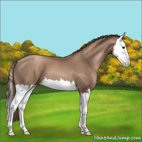 Horse Color:Black Pearl Splash 