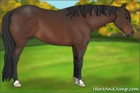 Horse Color:Brown 