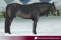 Horse Color:Black Frame 
