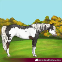 Horse Color:Liver Chestnut Mushroom Frame 