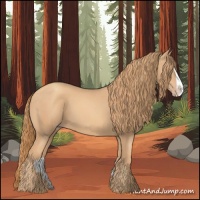 Horse Color:Gold Champagne Splash