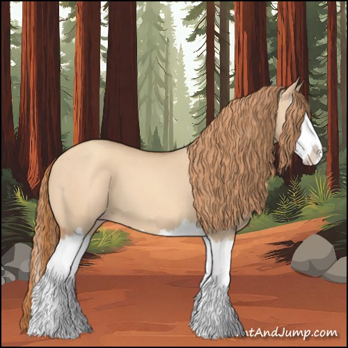 Horse Color:Gold Champagne Dun Splash 