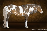 Horse Color:White Spotted Silver Smoky Grullo Sabino
