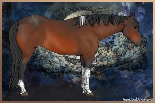 Horse Color:Bay Tobiano Rabicano 