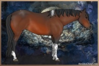 Horse Color:Bay Tobiano Rabicano 