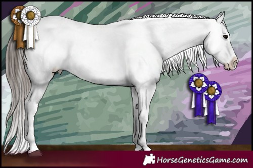 Horse Color:Black Tobiano Near Leopard