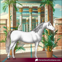 Horse Color:Chestnut Appaloosa 