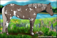 Horse Color:White Spotted Silver Black 