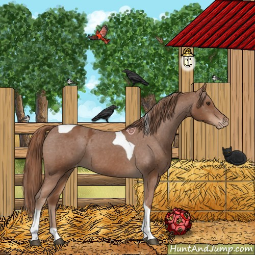 Horse Color:Chestnut Tobiano Varnish