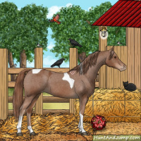 Horse Color:Chestnut Tobiano Varnish 