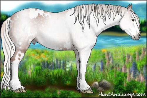 Horse Color:Gray White Spotted Silver Bay Splash 