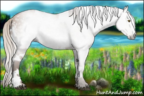 Horse Color:Gray White Spotted Silver Brown Pearl 
