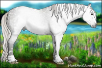 Horse Color:Gray White Spotted Silver Blue Roan Frame 