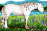 Horse Color:Gray Gold Champagne 