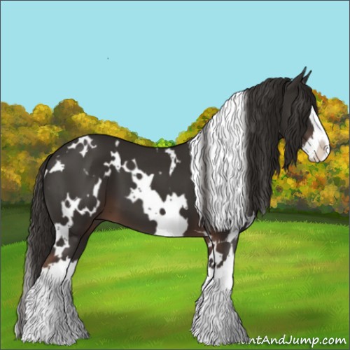 Horse Color:White Spotted Liver Chestnut Splash 