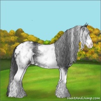 Horse Color:White Spotted Black 
