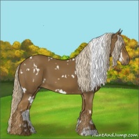 Horse Color:White Spotted Chocolate Palomino