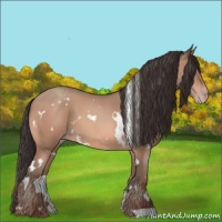 Horse Color:White Spotted Sable Champagne Roan