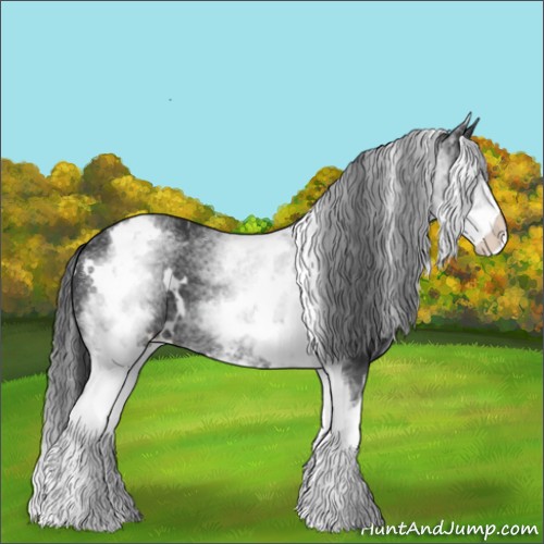 Horse Color:White Spotted Black