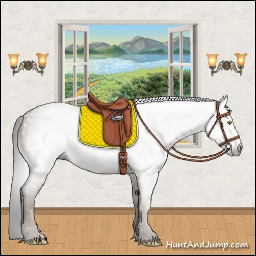 Horse Color:Gray Amber Champagne 