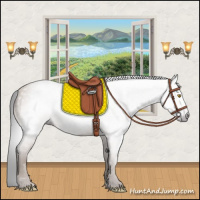 Horse Color:Gray Amber Champagne