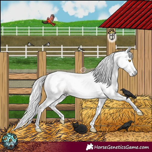 Horse Color:Gray Amber Champagne 