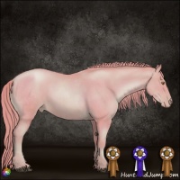Horse Color:Watercolor Chestnut Pearl Sabino 