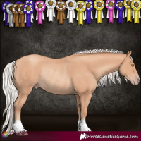 Horse Color:Silver Classic Champagne Rabicano