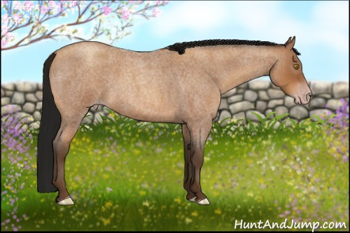 Horse Color:Gray Amber Champagne Roan 